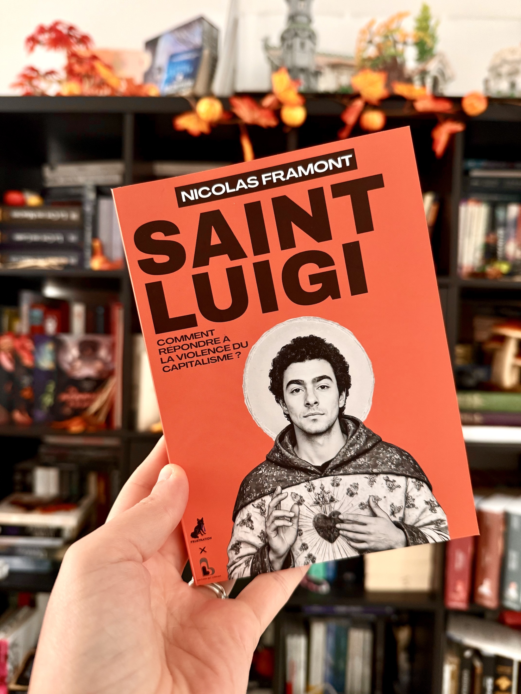 Livre pris en photo devant une bibliothèque. La couverture représente Luigi Mangione en saint religieux, comme une icône.